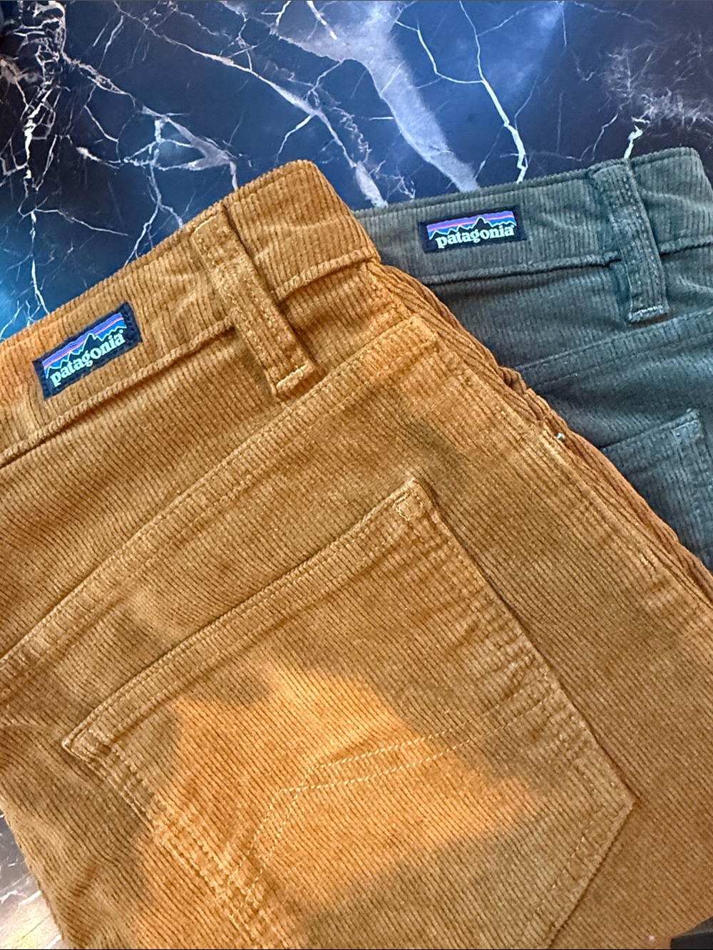 Patagonia Corduroy Pants in Golden Brown and Green